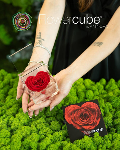 FLOWERCUBE ROUGE