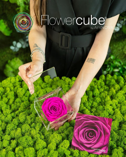 FLOWERCUBE ROUGE