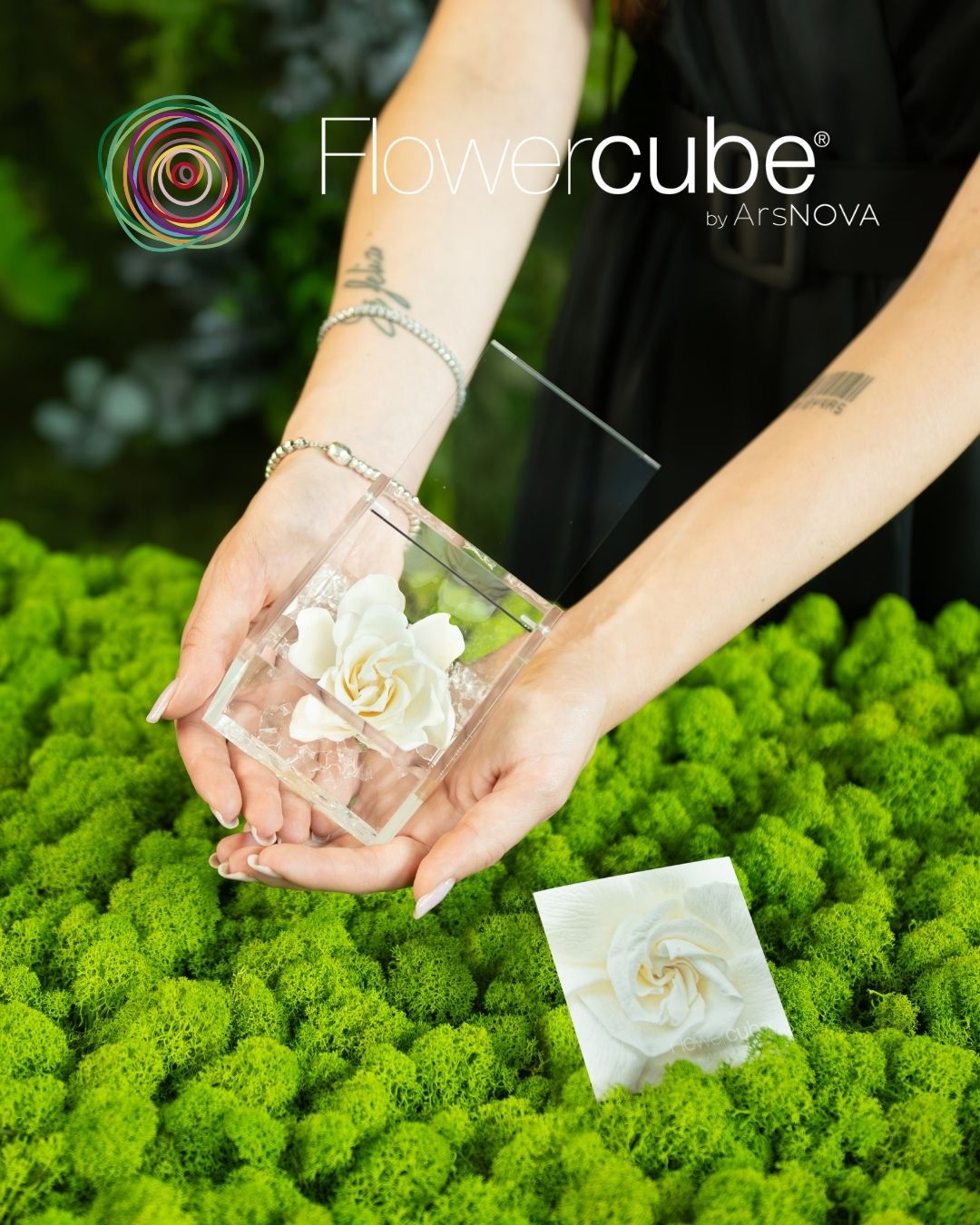 FLOWERCUBE ROUGE