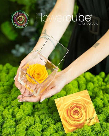 Flowercube® by Ars NOVA