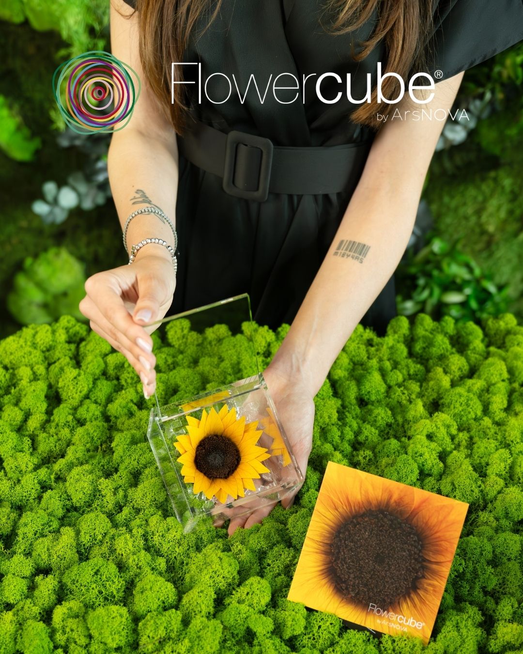 Flowercube® by Ars NOVA