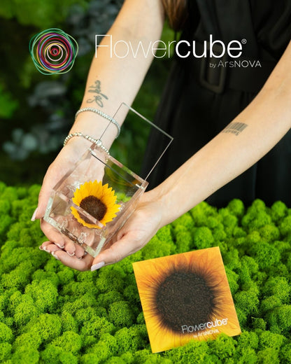 Flowercube® by Ars NOVA