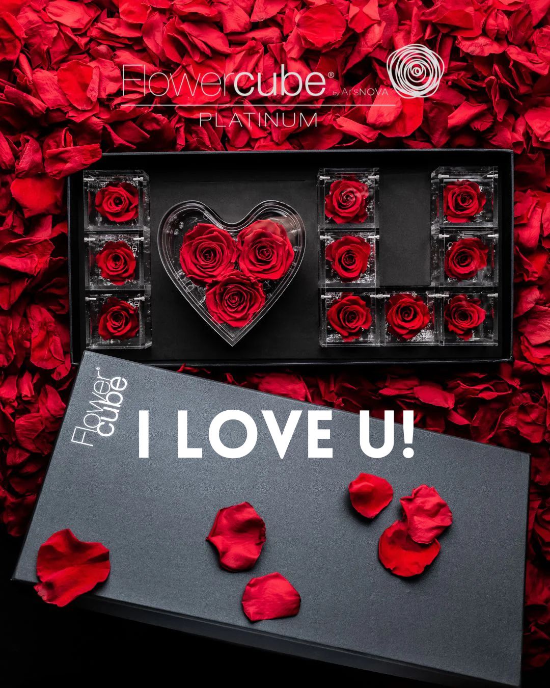 FLOWERCUBE PLATINUM I LOVE YOU