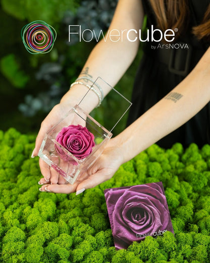 FLOWERCUBE ROUGE