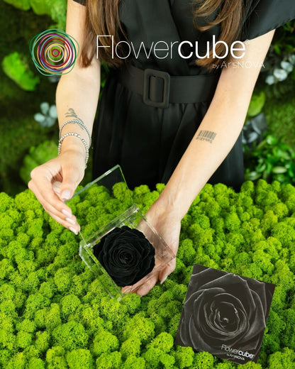 FLOWERCUBE ROUGE