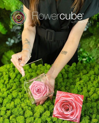 FLOWERCUBE ROUGE