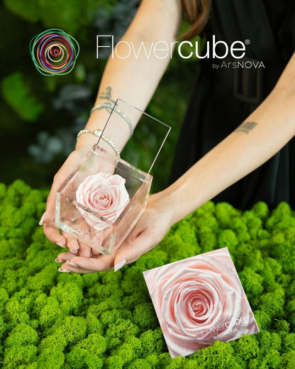 FLOWERCUBE ROUGE