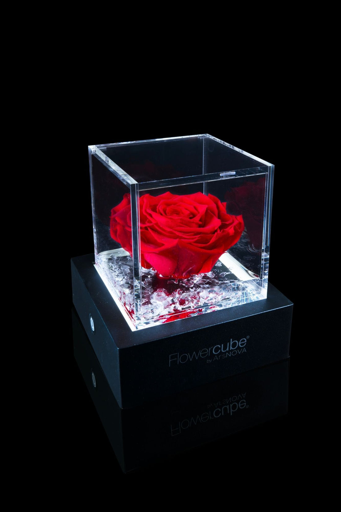 FLOWERCUBE® + LAMPE : ENSEMBLE COMPLET