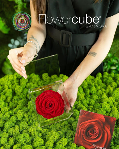 FLOWERCUBE ROUGE