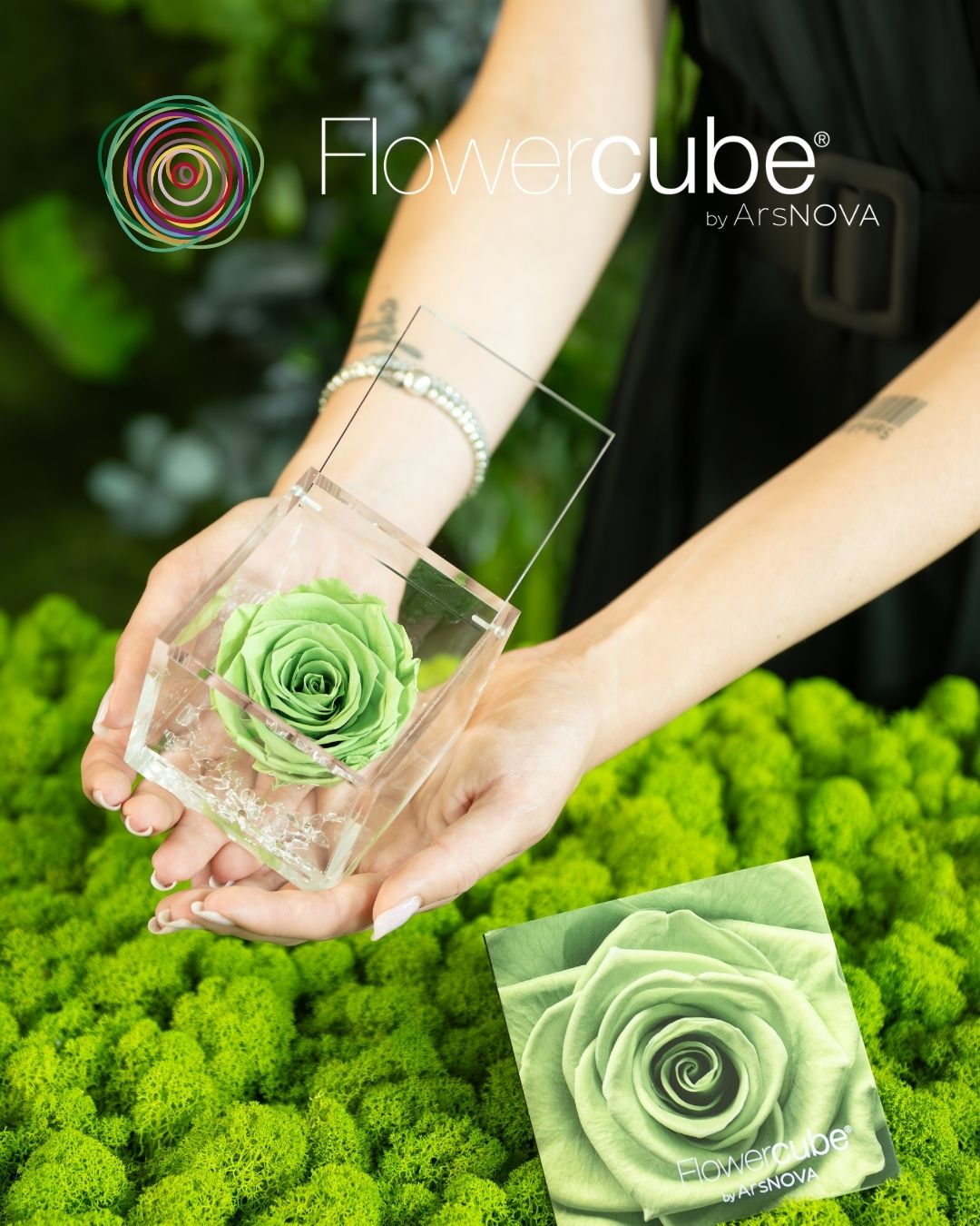 Flowercube® by Ars NOVA