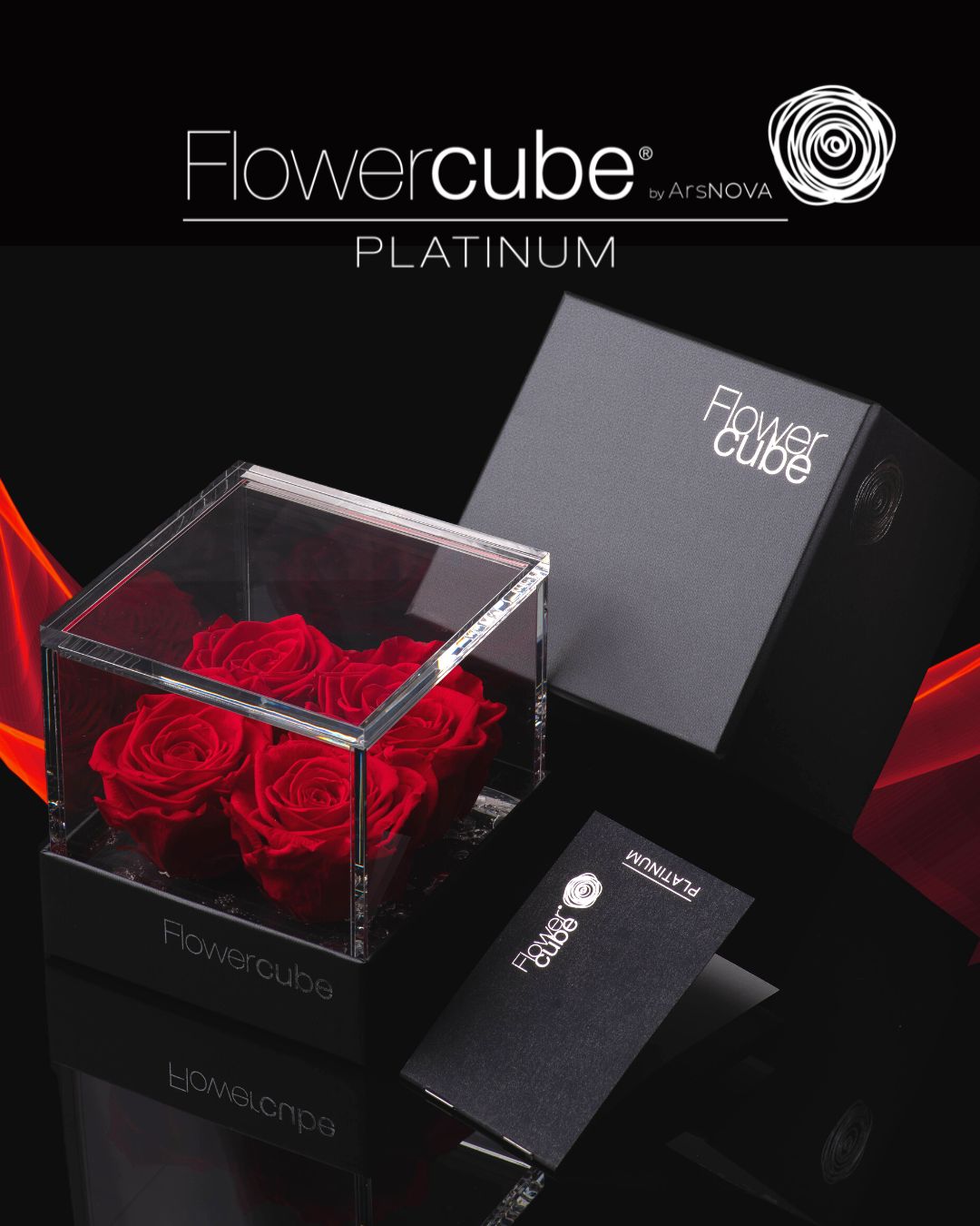 FLOWERCUBE PLATINUM - 4 ROSE ROSSE