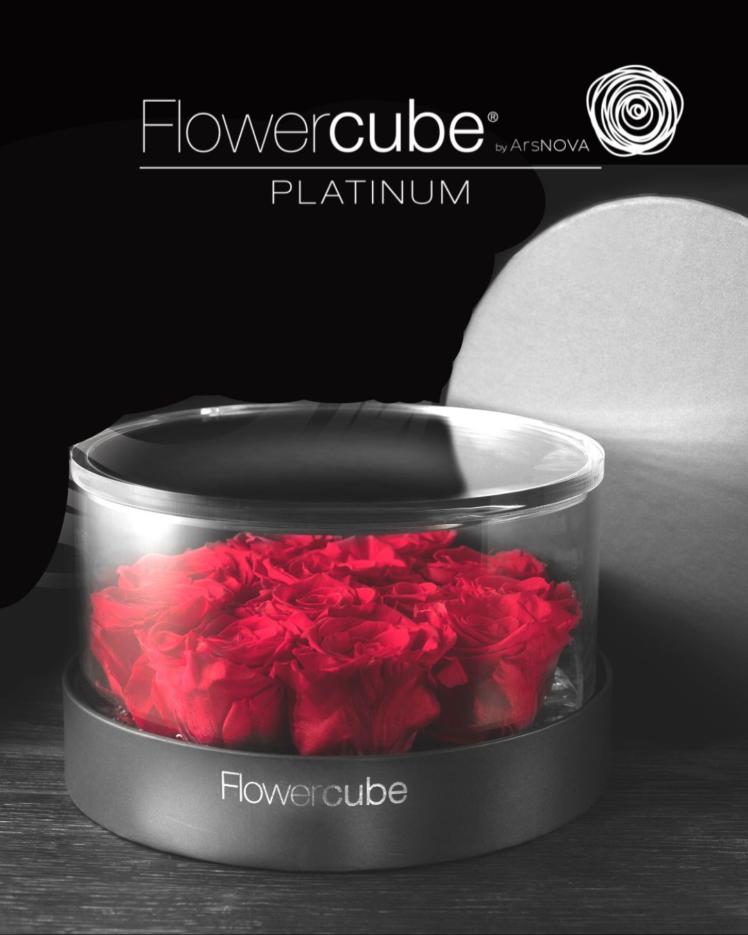 FLOWERCUBE PLATINUM - 12 ROSES ROUGES CYLINDRE 