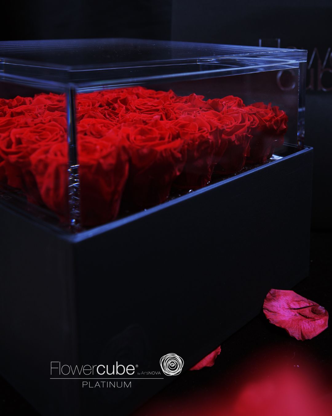 FLOWERCUBE PLATINUM - 25 ROSES ROUGE