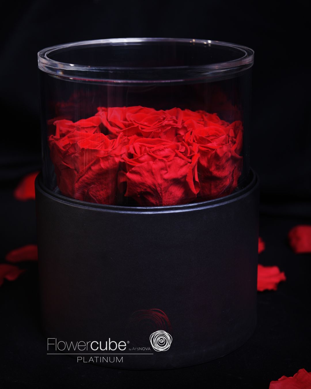 FLOWERCUBE PLATINUM - 7 ROSES ROUGE CYLINDRE