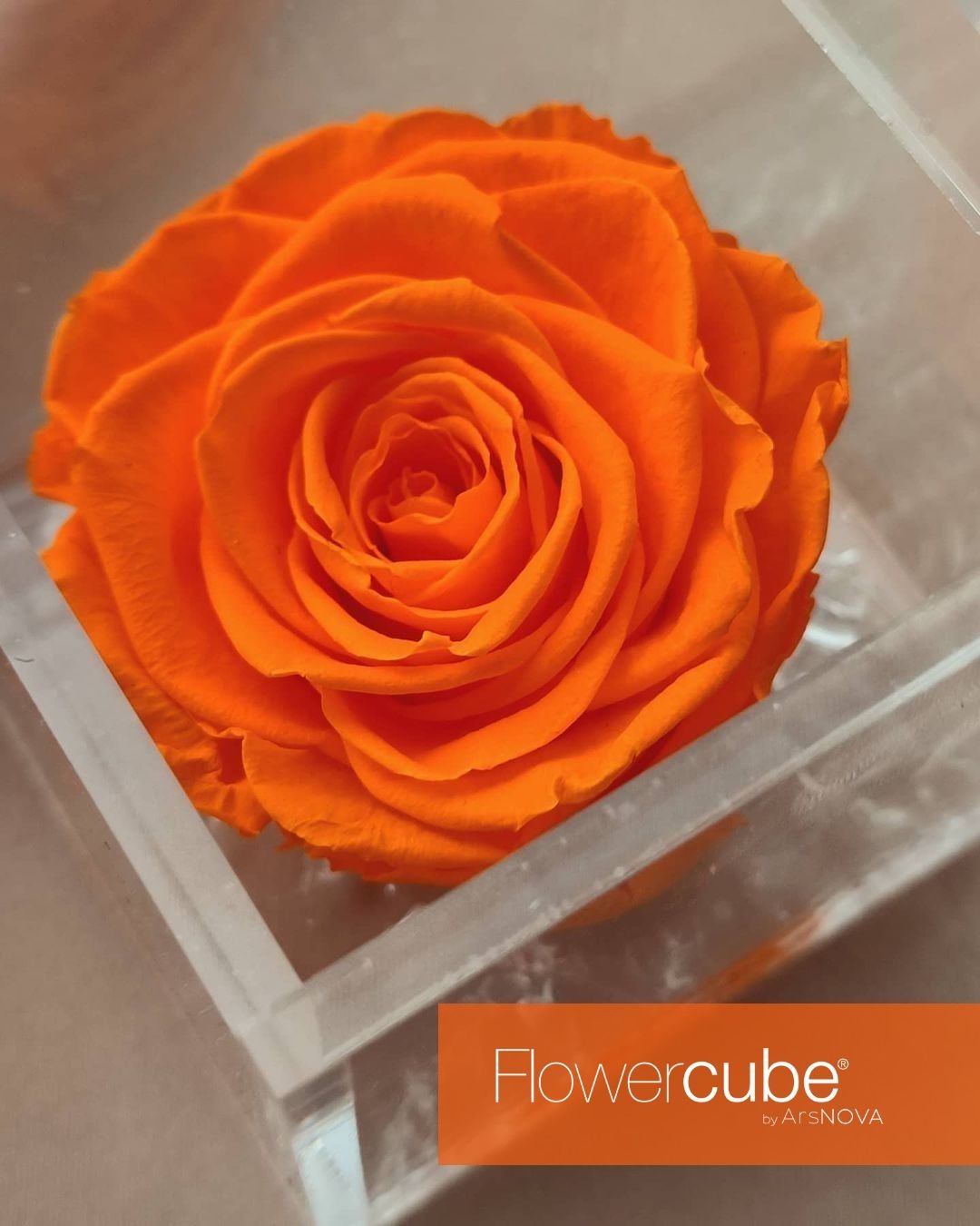 FLOWERCUBE ARANCIONE