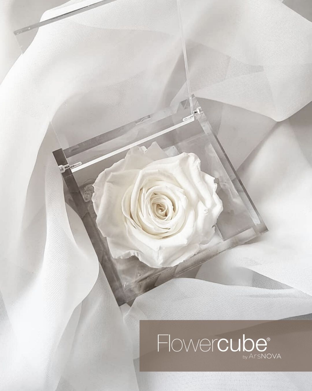 FLOWERCUBE BIANCO