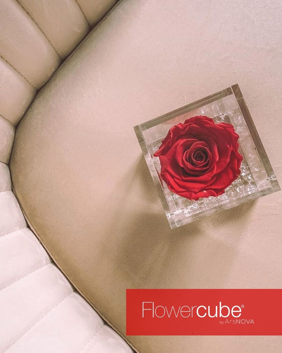 Flowercube Corallo