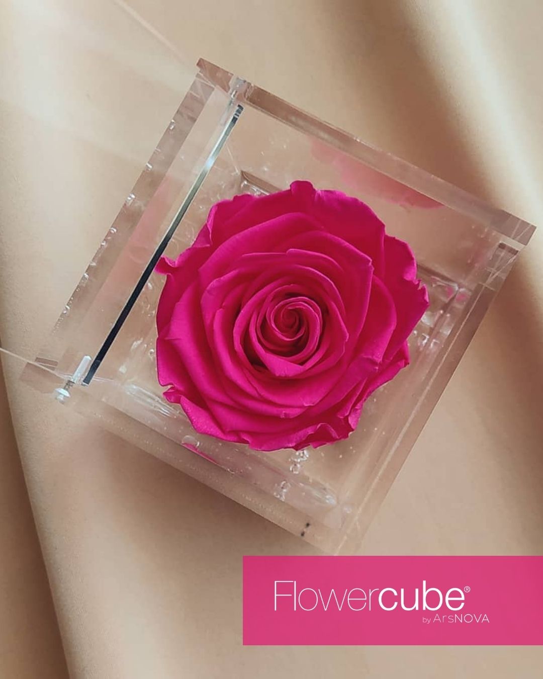 FLOWERCUBE SPECIAL EDITION FUCSIA