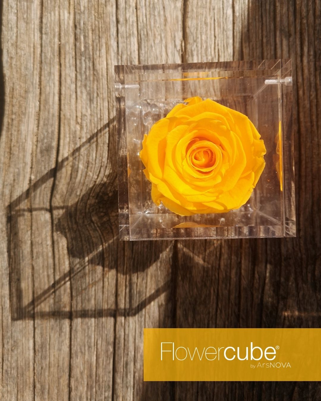 FLOWERCUBE GIALLO