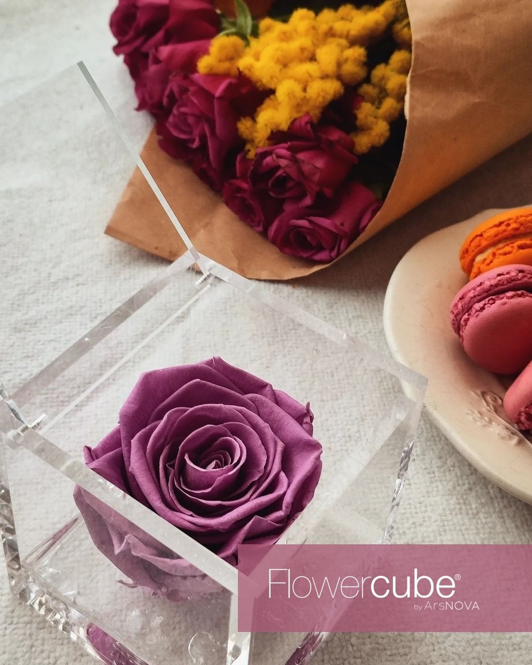 FLOWERCUBE SPECIAL EDITION LILLA