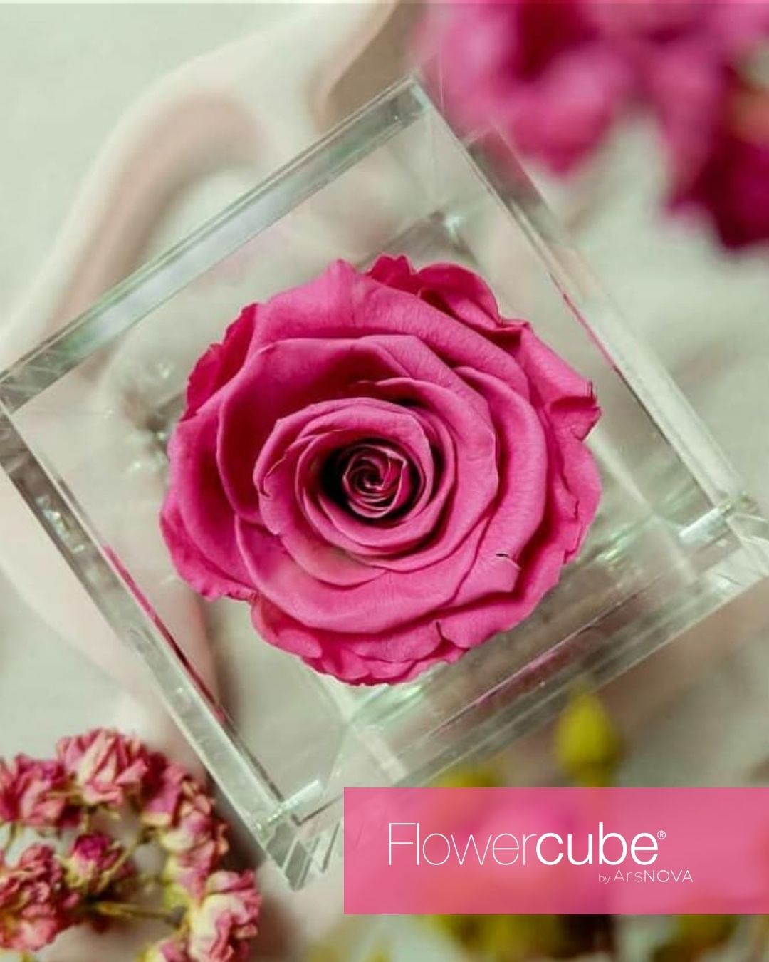 FLOWERCUBE SPECIAL EDITION MIRTILLO